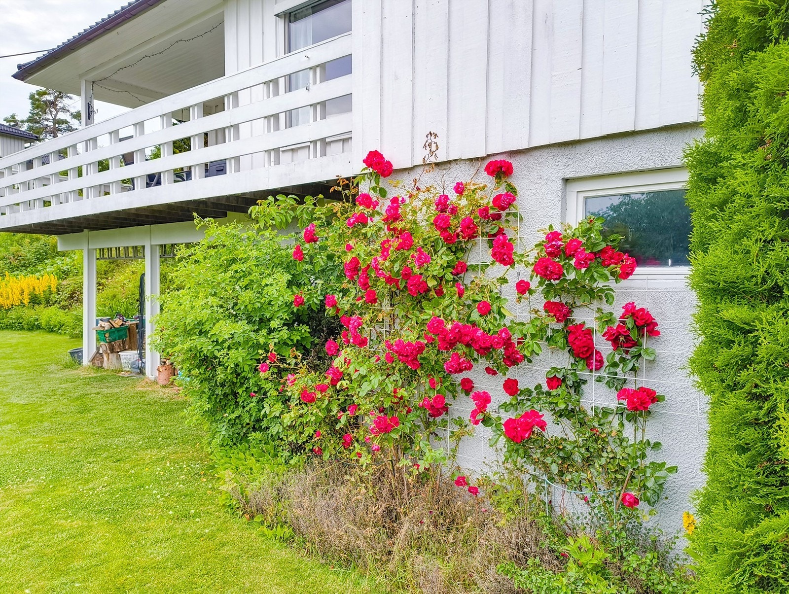 Selgers private bilde Galleribilde