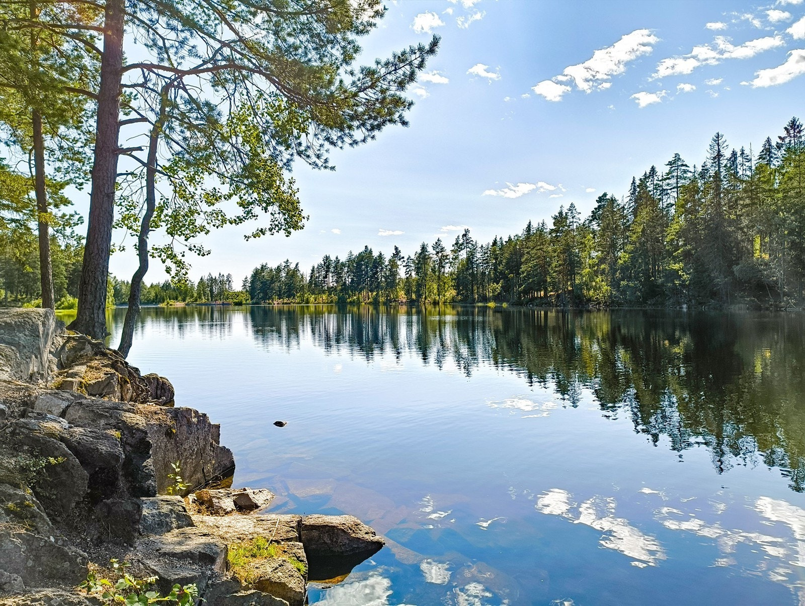 Selgers private bilde Galleribilde