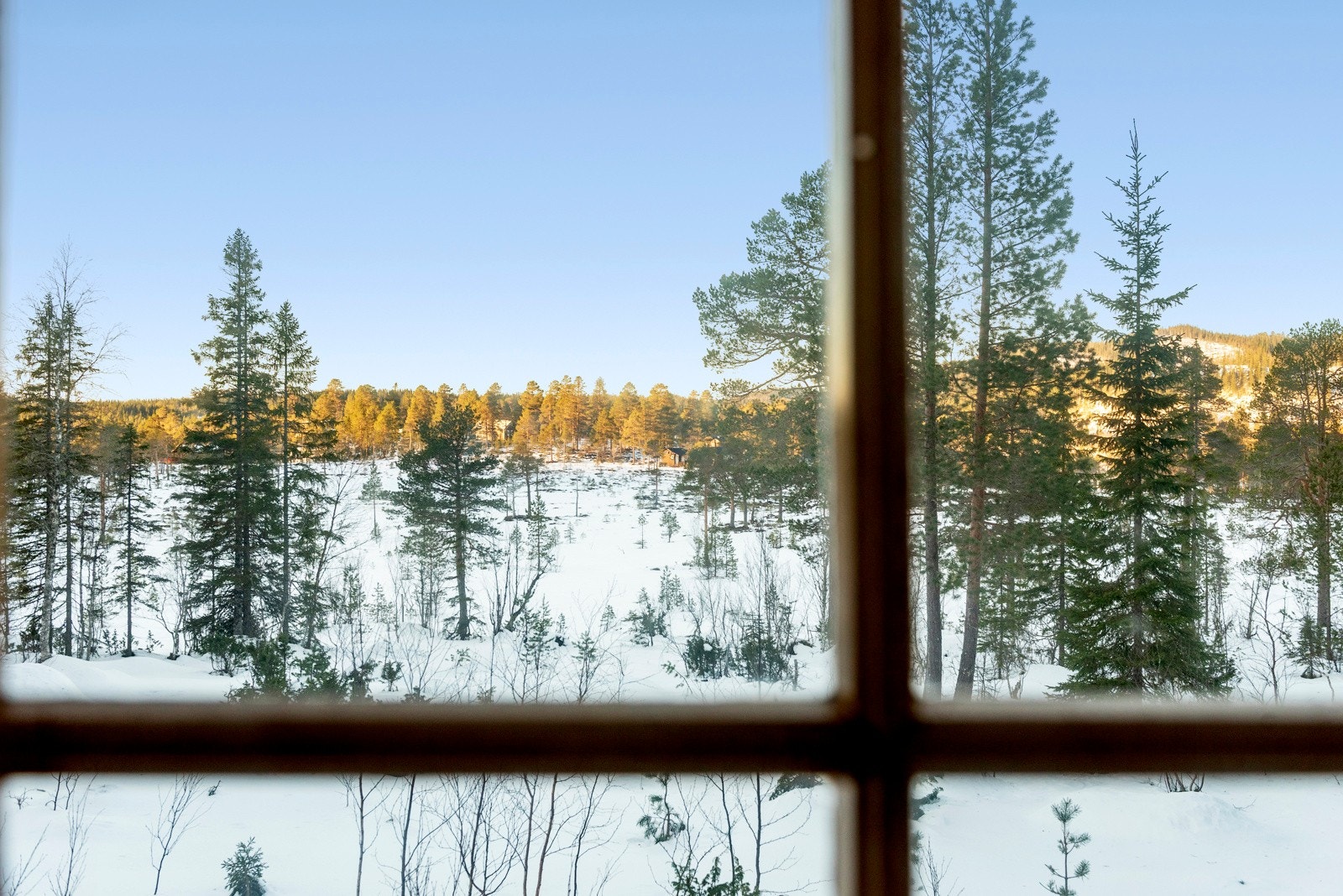 Velkommen til en hyggelig visning, husk påmelding! Galleribilde