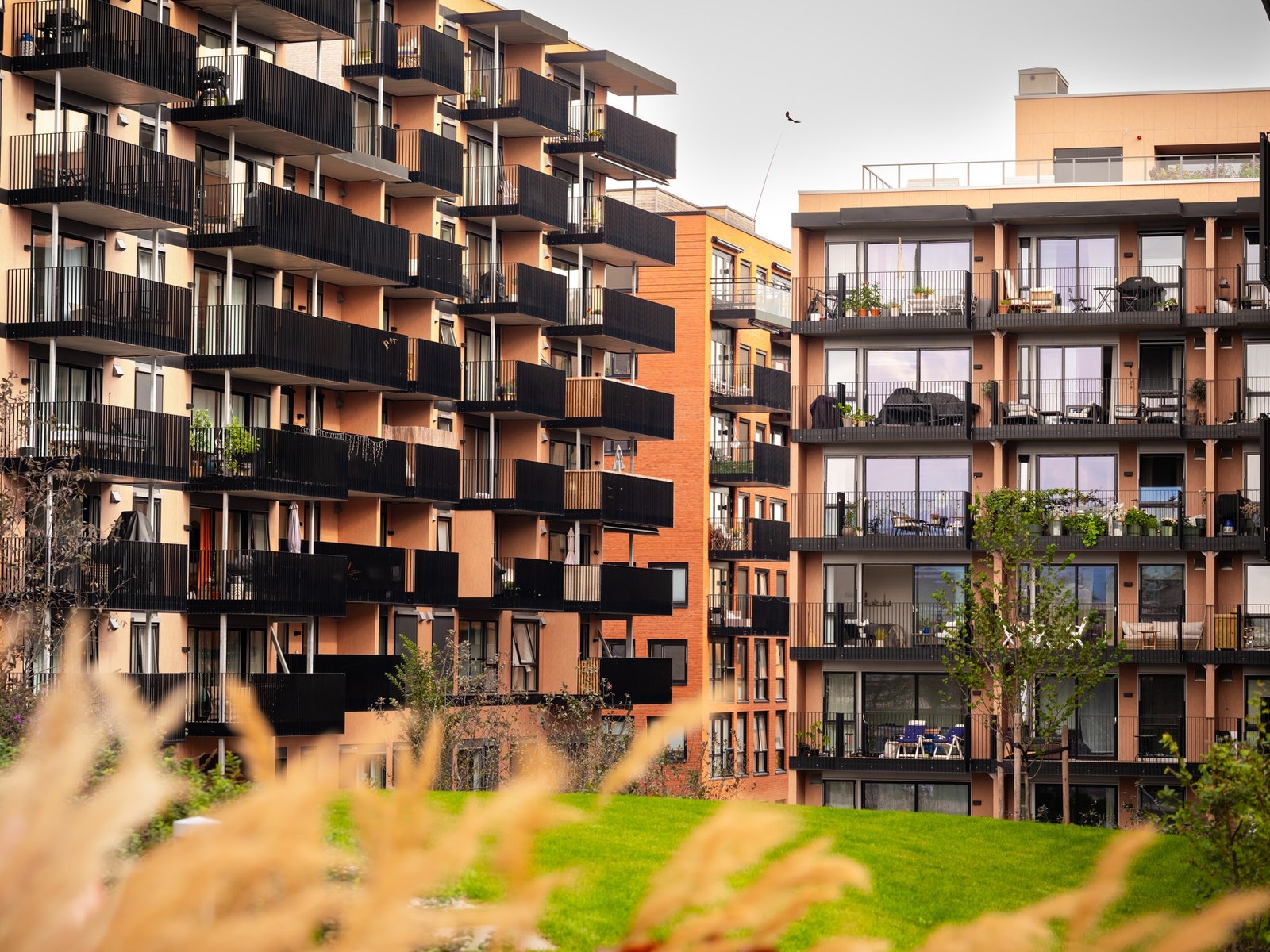 Fellesområdene er utformet for å fremme et aktivt naboskap og inkluderer en rekke fasiliteter som er tilgjengelige for beboerne. Galleribilde