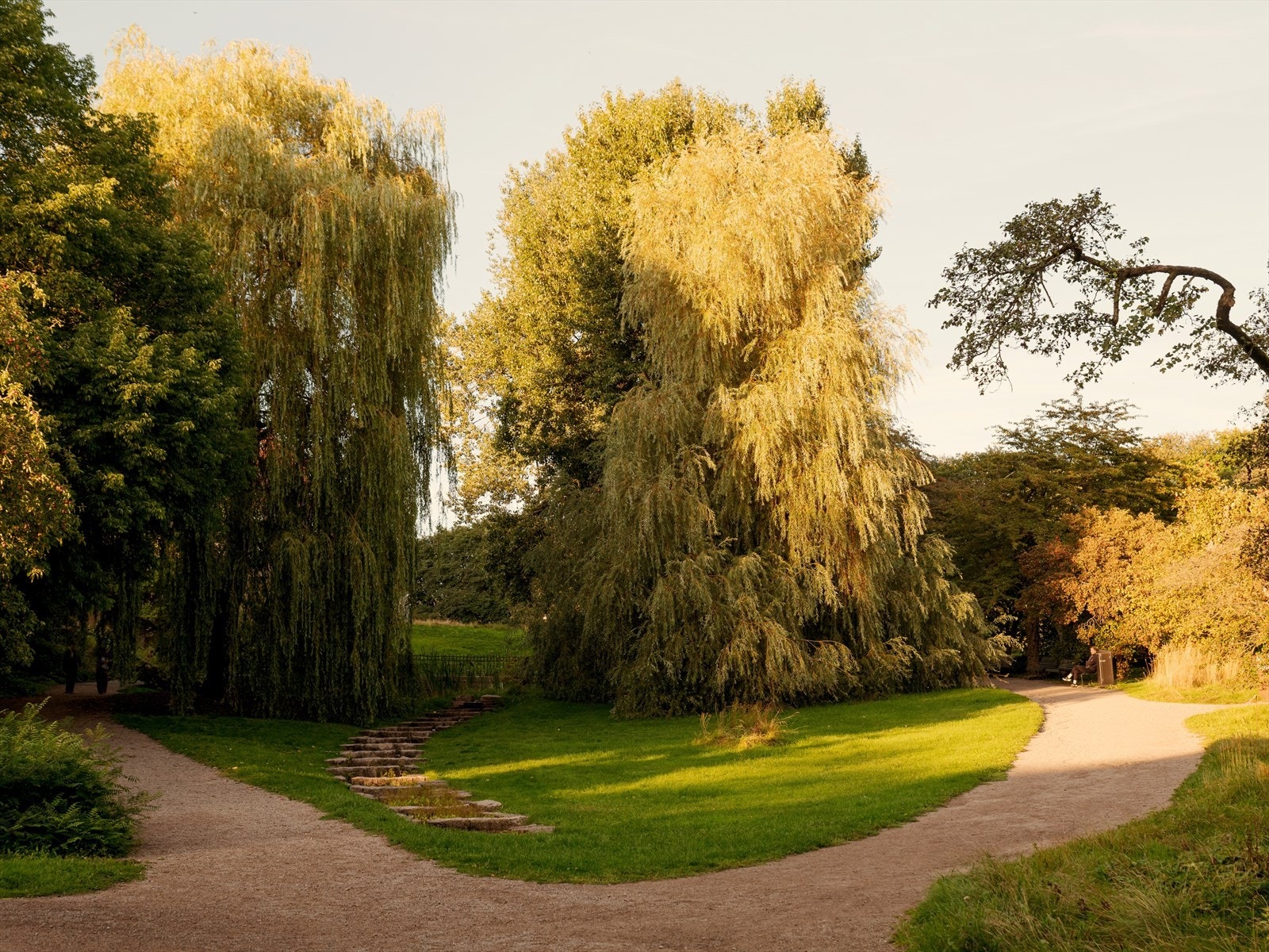 Botanisk hage på Tøyen i Oslo er Norges eldste botaniske hage, den ble etablert i 1814. Hagen og samlingene er siden blitt del av Naturhistorisk museum, sammen med blant annet Geologisk museum og Zoologisk museum. Galleribilde