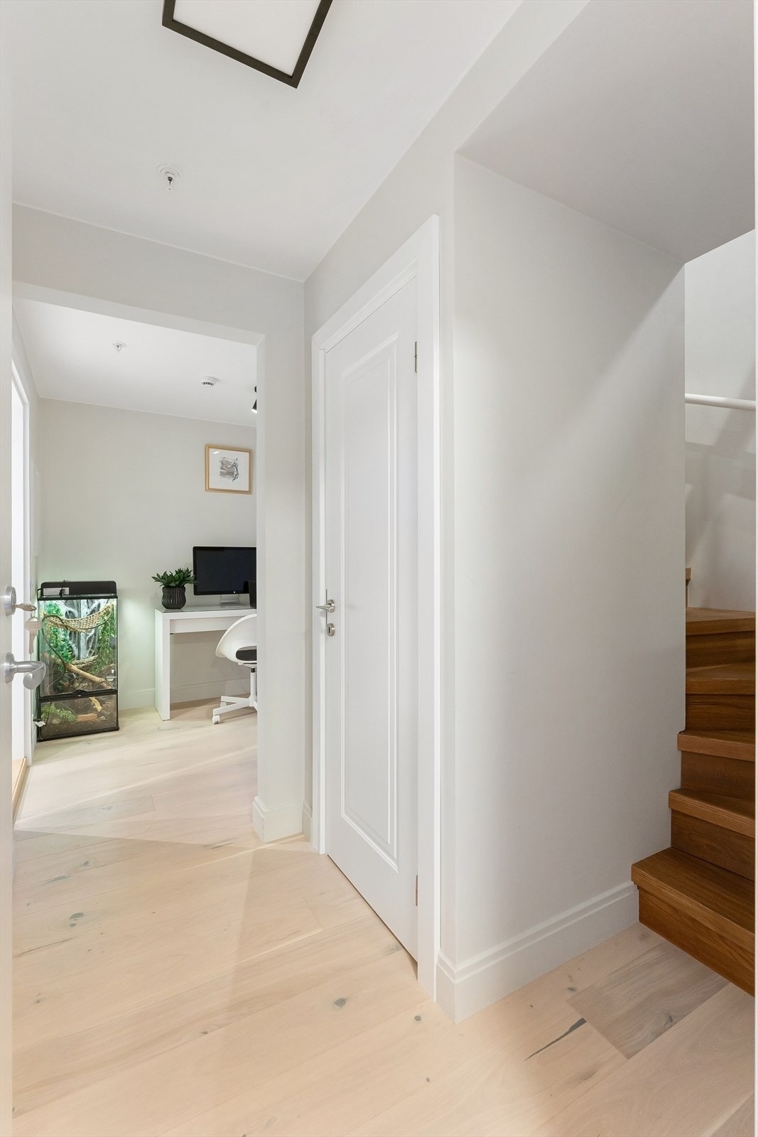 Gang underetasje med egen inngang. Galleribilde