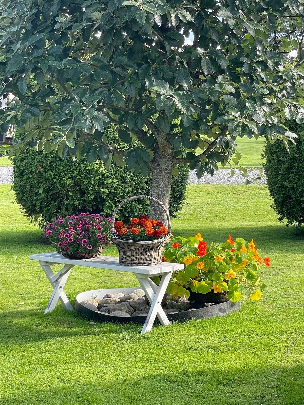 Sommer i Brennåsvegen 13 (privat foto) Galleribilde