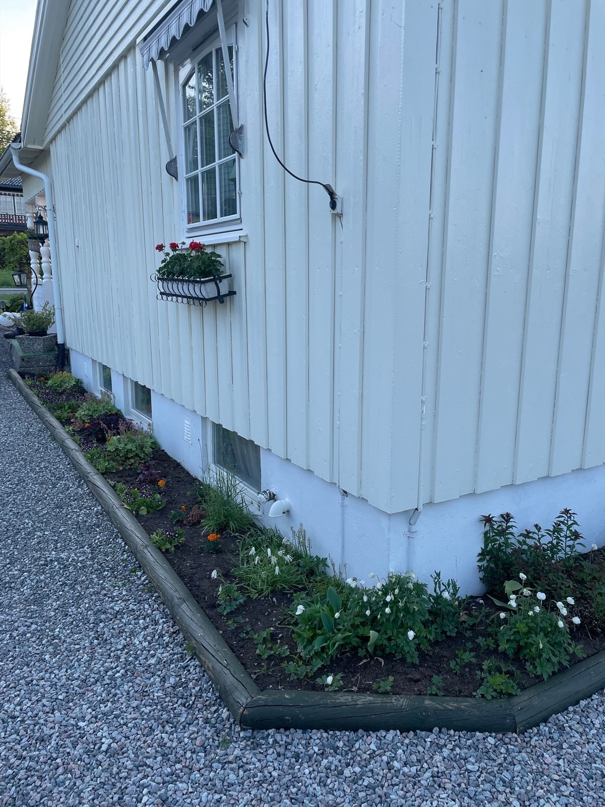 Sommer i Brennåsvegen 13 (privat foto) Galleribilde