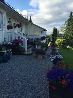 Sommer i Brennåsvegen 13 (privat foto) Galleribilde