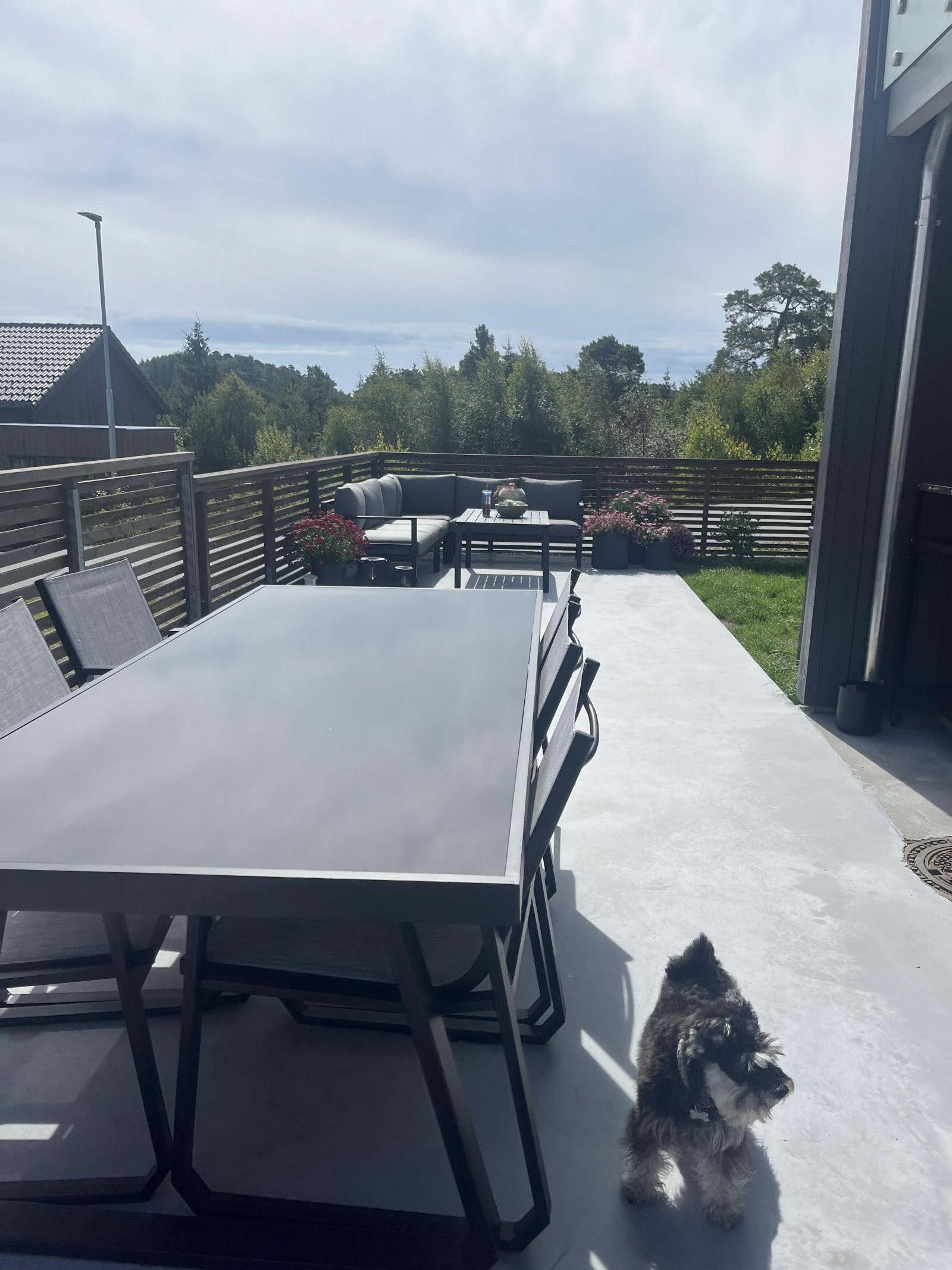 Flott, stor støpt platting med plass til flere sittesoner hvor man kan nyte utsikten og sola! Galleribilde