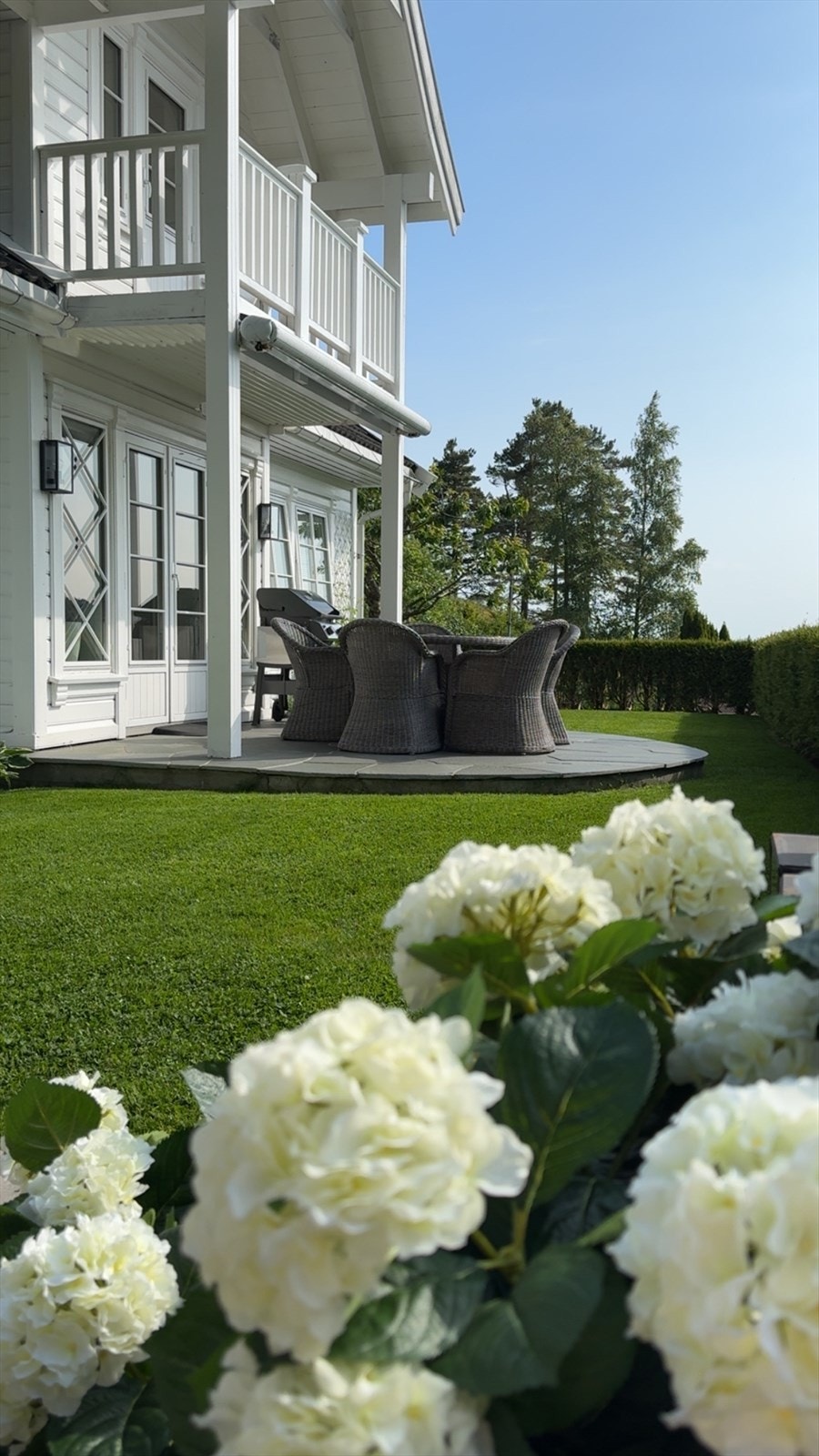 Sommerbilde fra selger Galleribilde