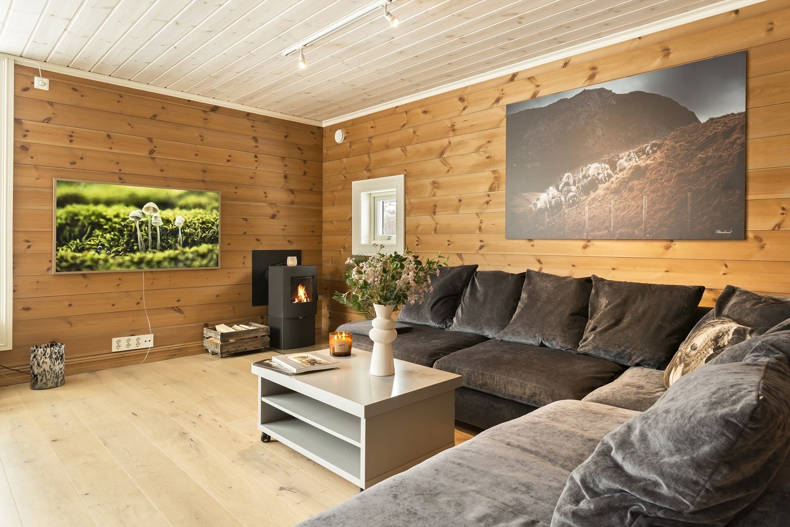 Stuedelen har godt med plass til sittegruppe. En fin peisovn sørger for et koselig inneklima. Galleribilde