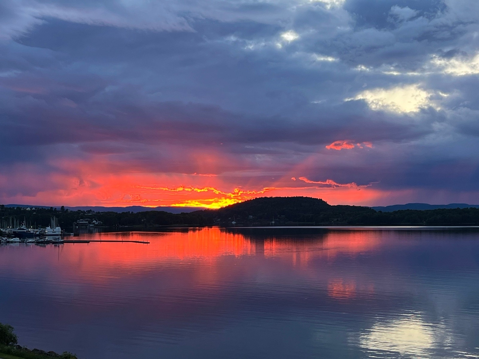 Hver dag vil bringe nye bilder inn fra naturens side når man bor så fantastisk som man gjør her. Galleribilde