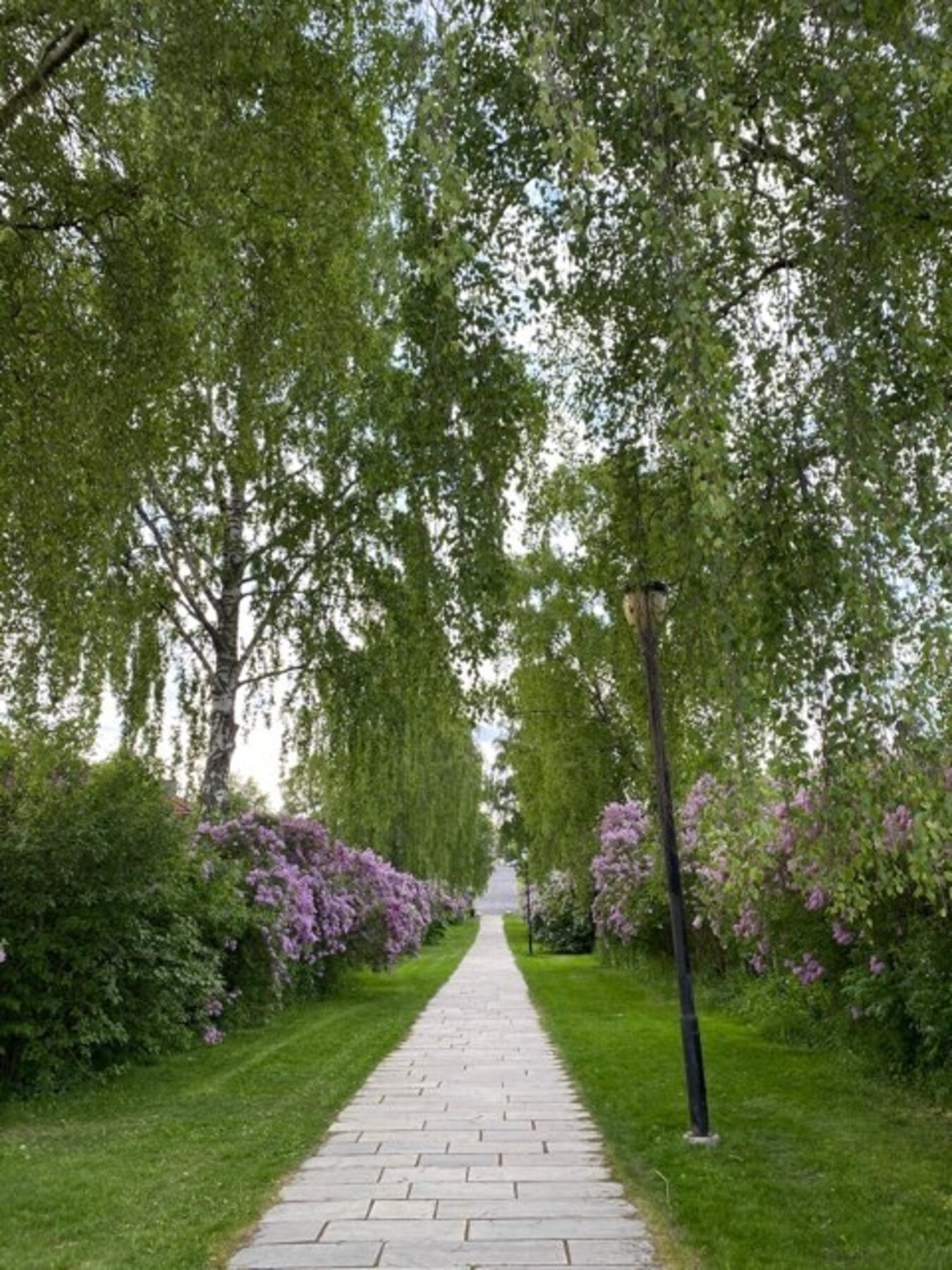 Det er flere flotte parker i området.
Bilde tatt av selger. Galleribilde