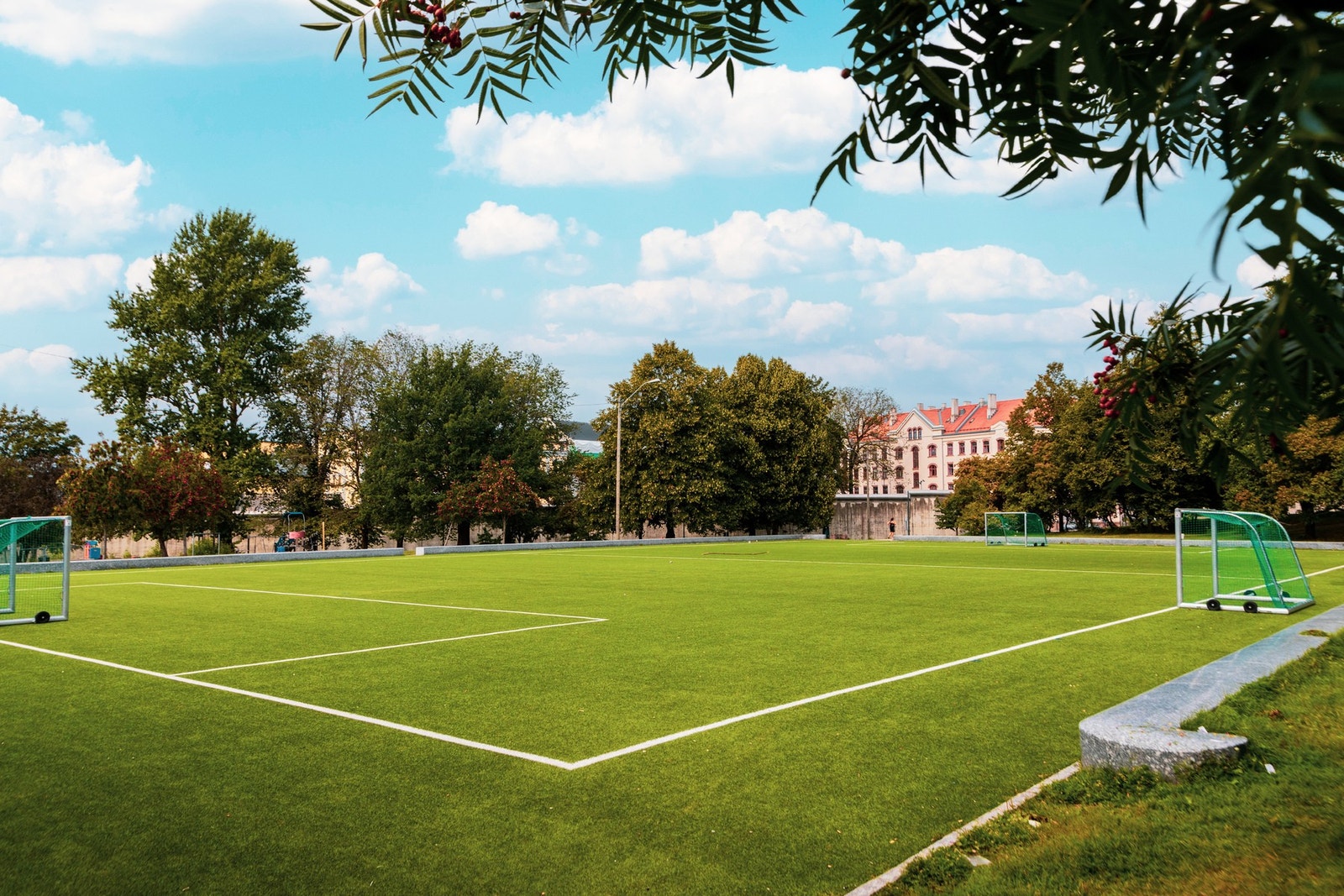 Nærområdet. Galleribilde