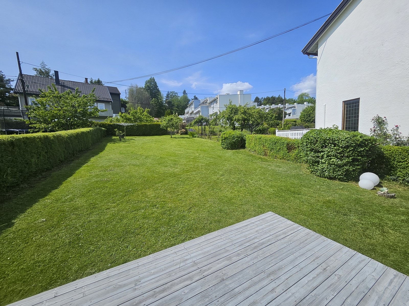 Sommerbilde. Galleribilde