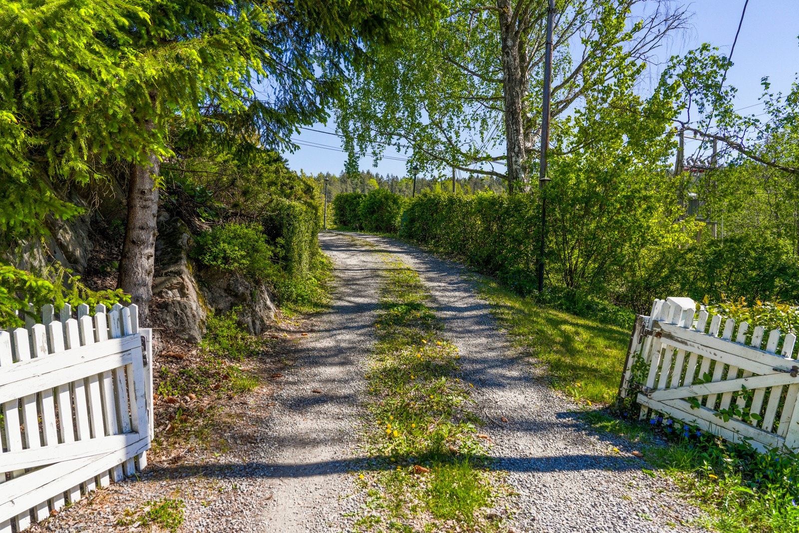 Representativ innkjørsel til eiendommen. Galleribilde