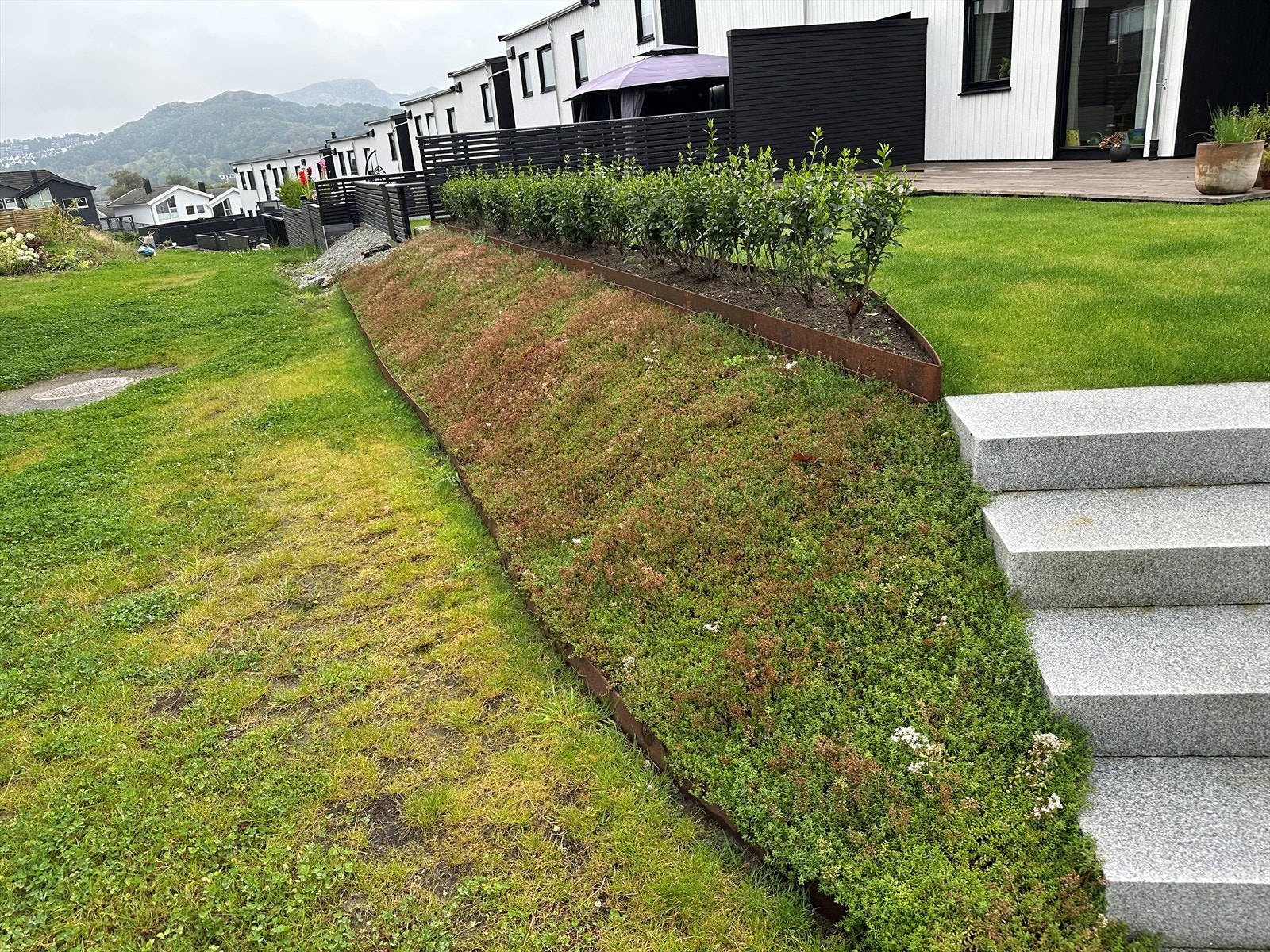 Sommerfoto fra selger Galleribilde