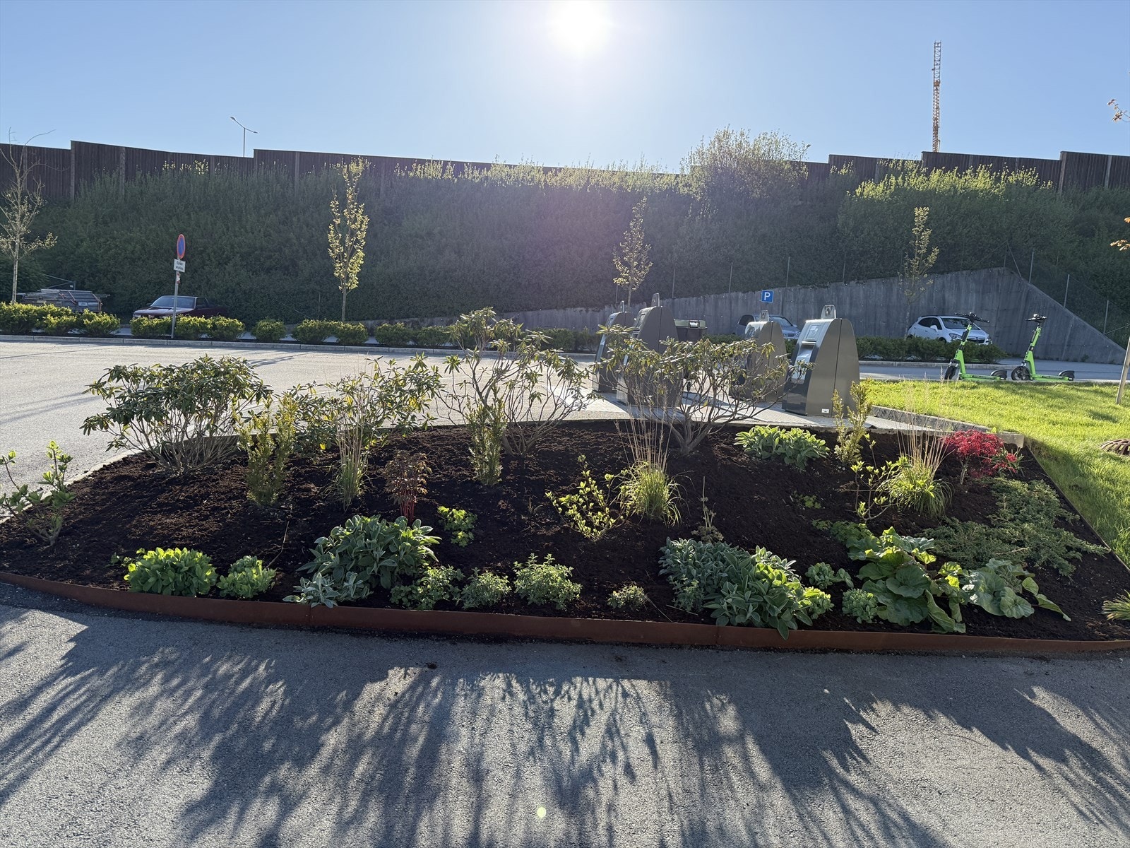 Plantet bed ved gårdsrom sommertid Galleribilde