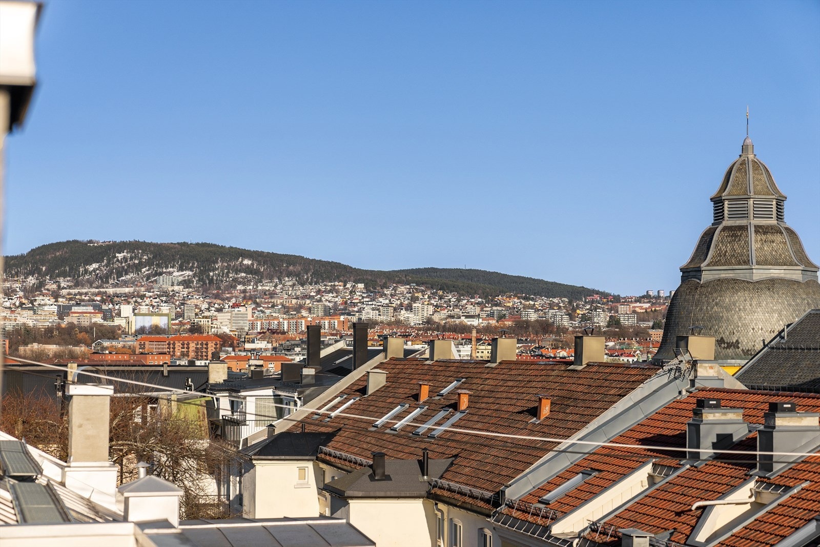 Utsikt mot Grefsen. Galleribilde