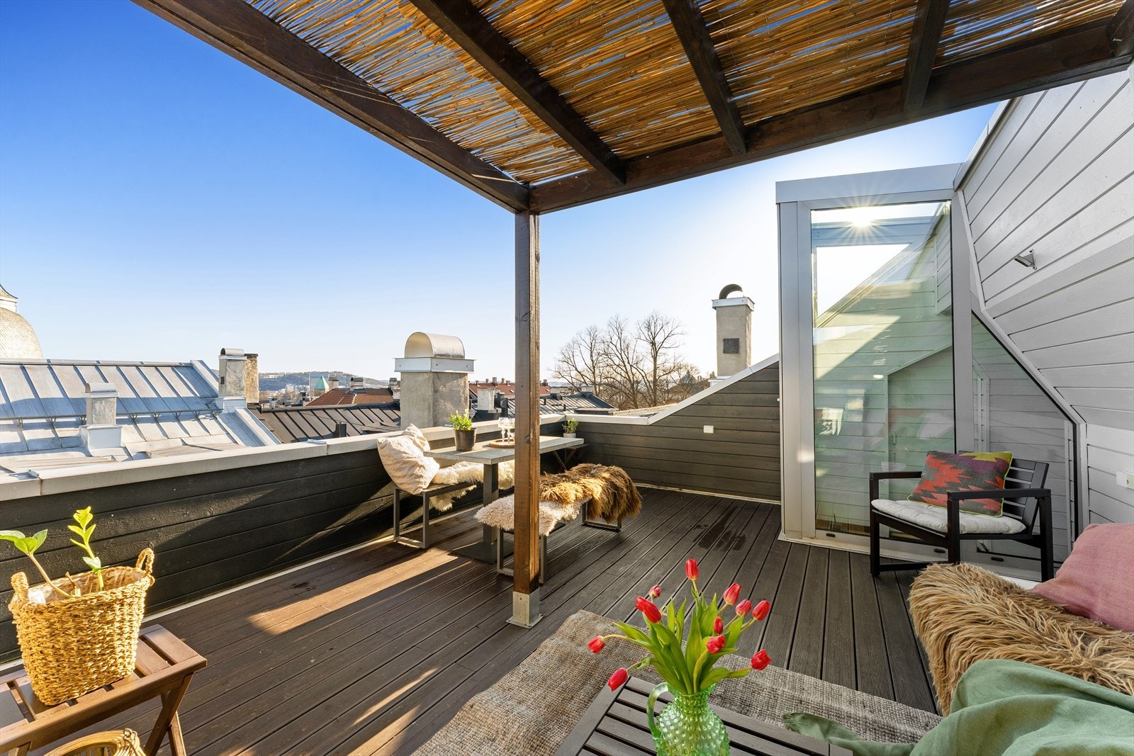 Sol fra morgen til kveld på sommeren på "toppen av haugen". Galleribilde