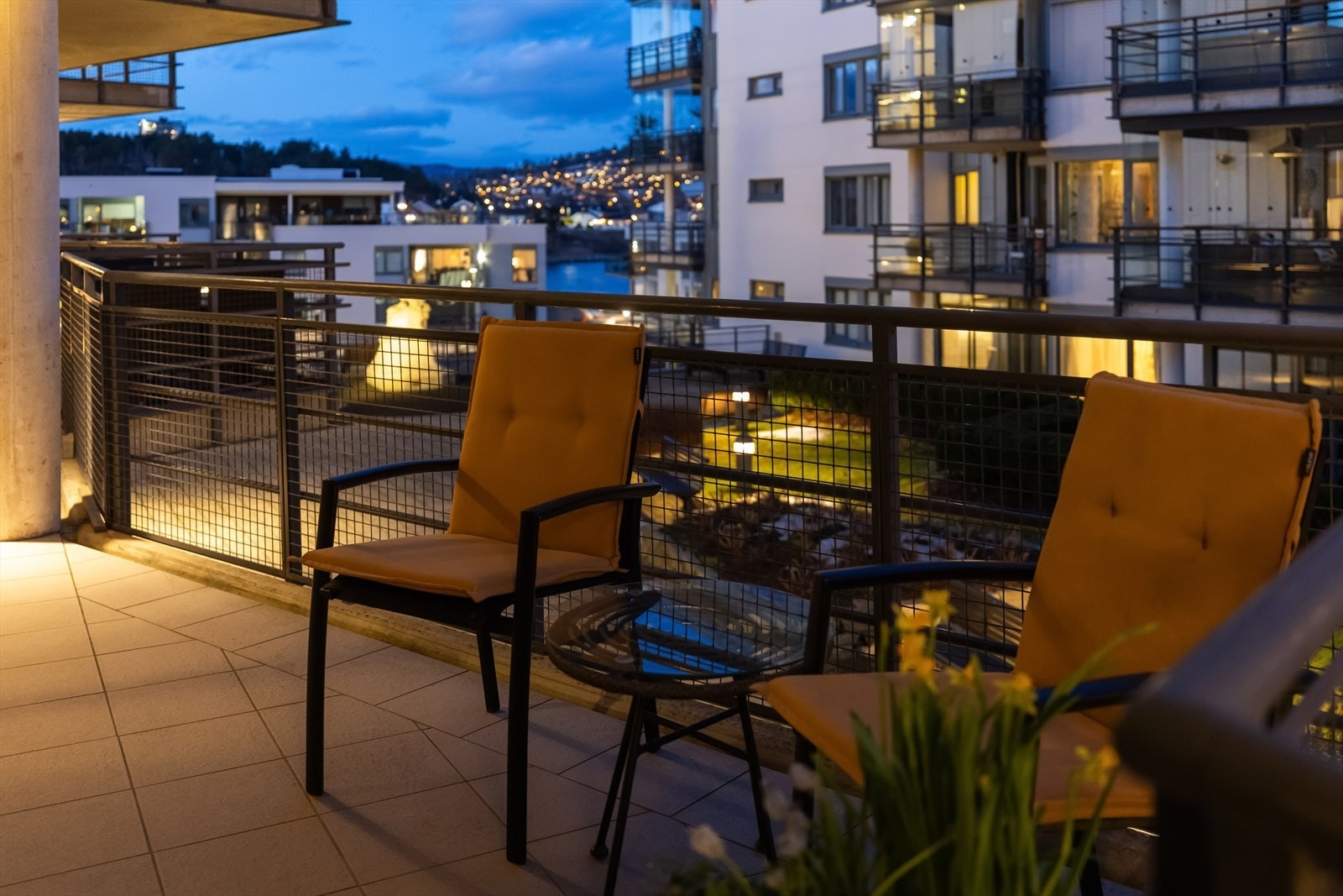 Kveldsfoto. Galleribilde