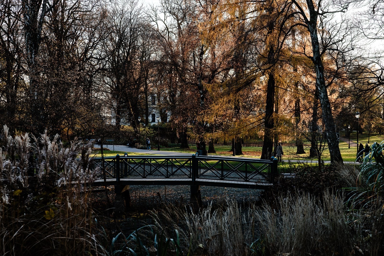 Slottsparken er en av flere grønne oaser i nærområdet, ideell for turer og avslapning. Galleribilde