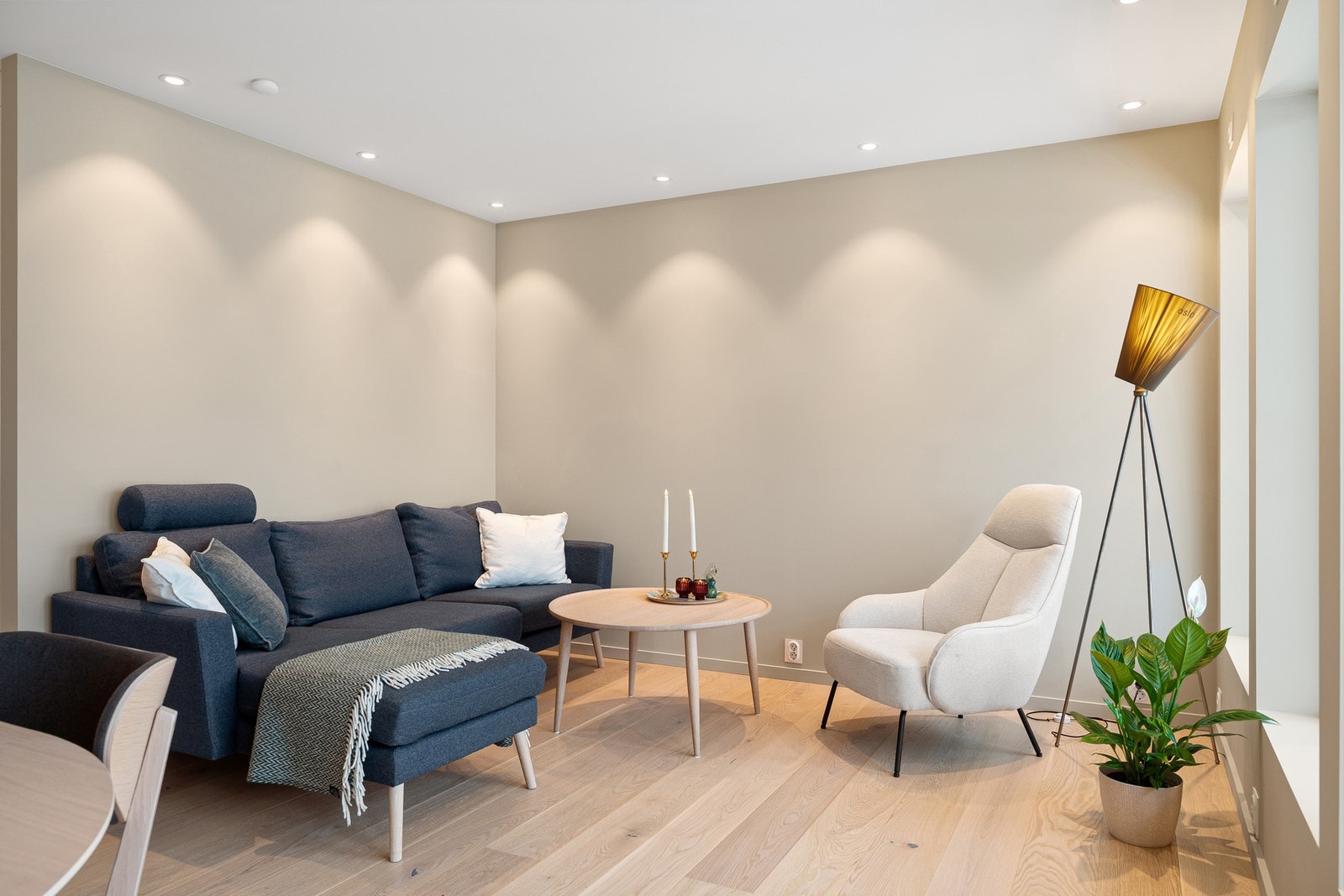 Stue og kjøkken utgjør øverste plan Galleribilde