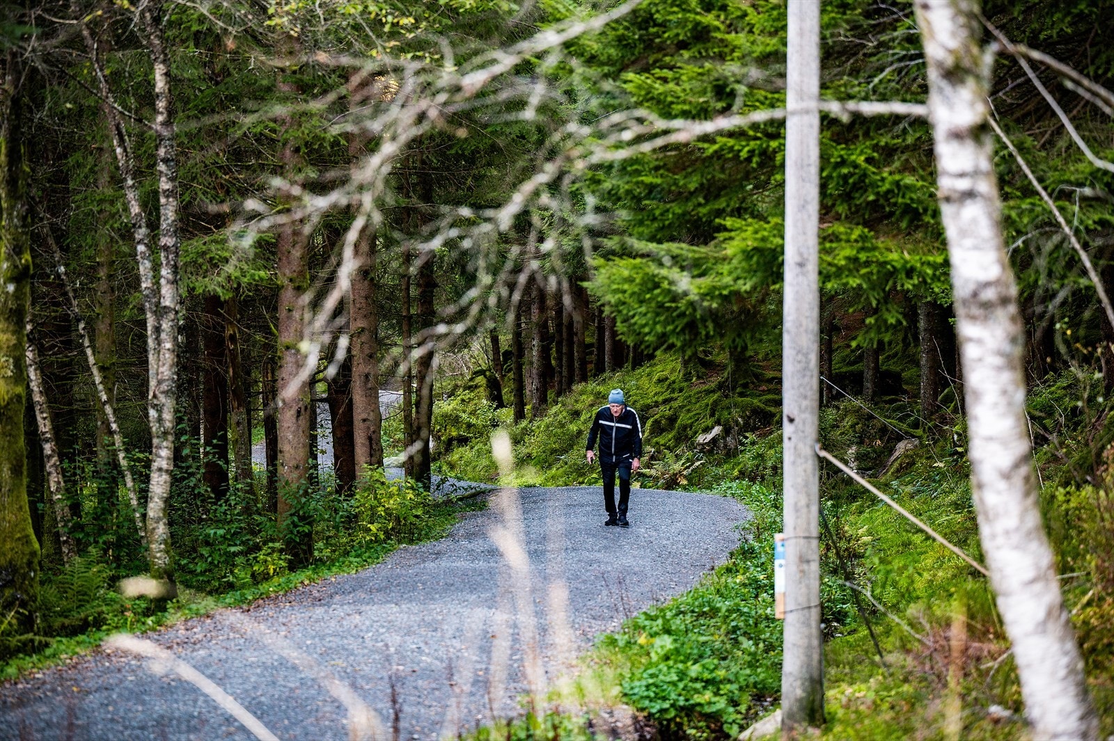 - Det er kort vei til flotte turmuligheter, som Gravdalsfjellet og Kanadaskogen - Galleribilde