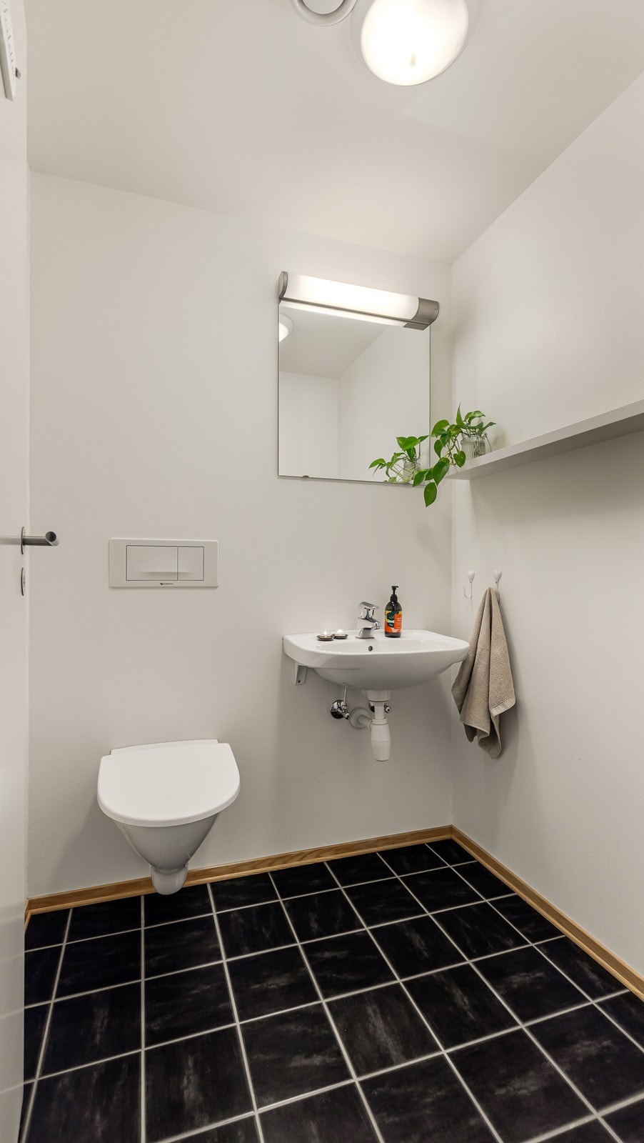 Gjestetoalett Galleribilde