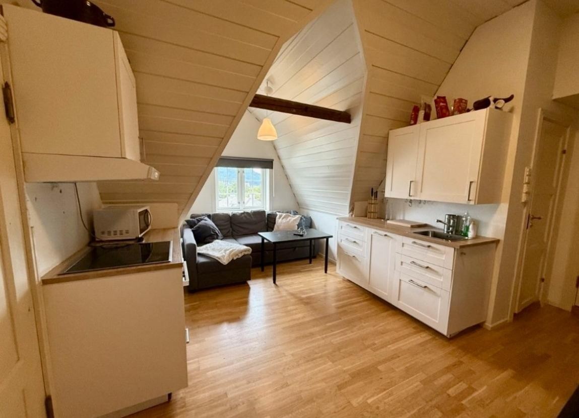 Åpen stue- og kjøkkenløsning på 20,5 kvm med god plass til møblering og opphold. (Privat bilde) Galleribilde