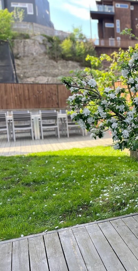 Hagen rommer to frukttrær som hvert år har gitt deilige plommer og epler - et lite, men sjarmerende tilskudd for både nytelse og atmosfære. Galleribilde