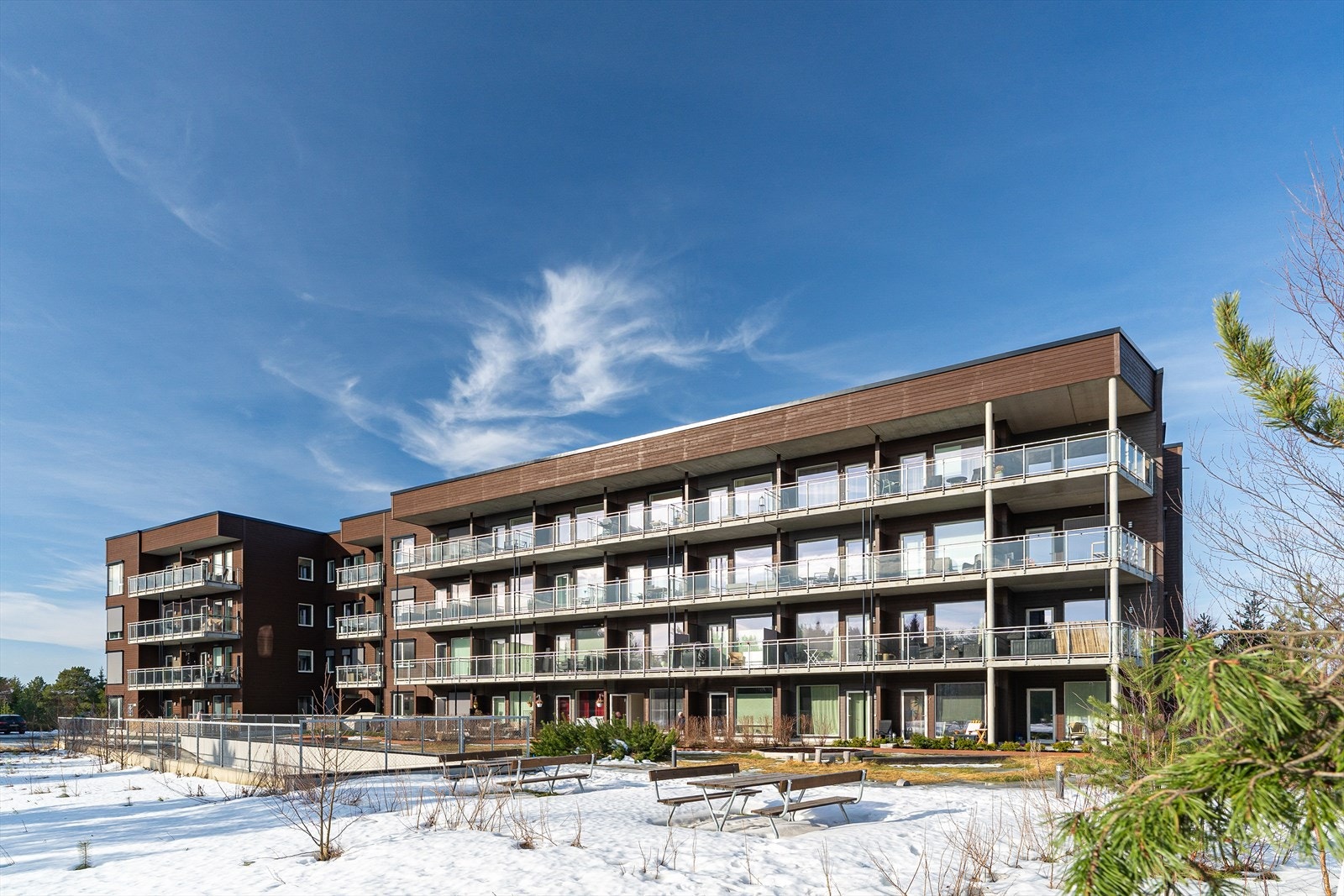 Velkommen til en trivelig visning! Galleribilde