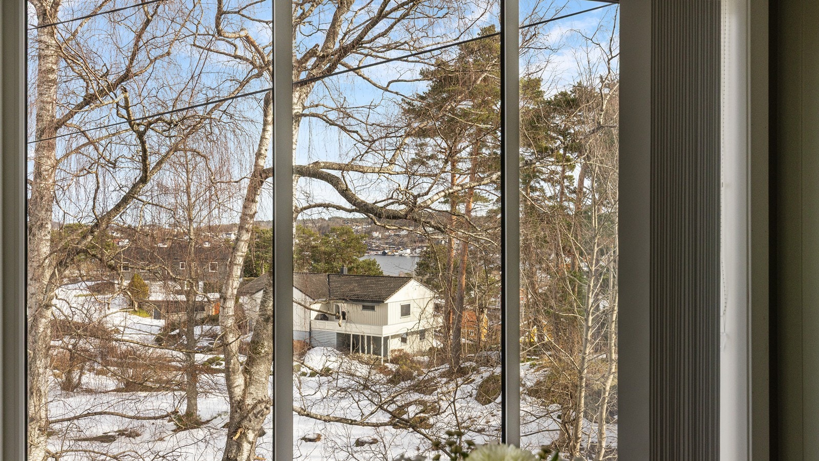 Nærhet til sjøen gir en herlig følelse av ro - her kan du sitte og nyte utsikten. Galleribilde