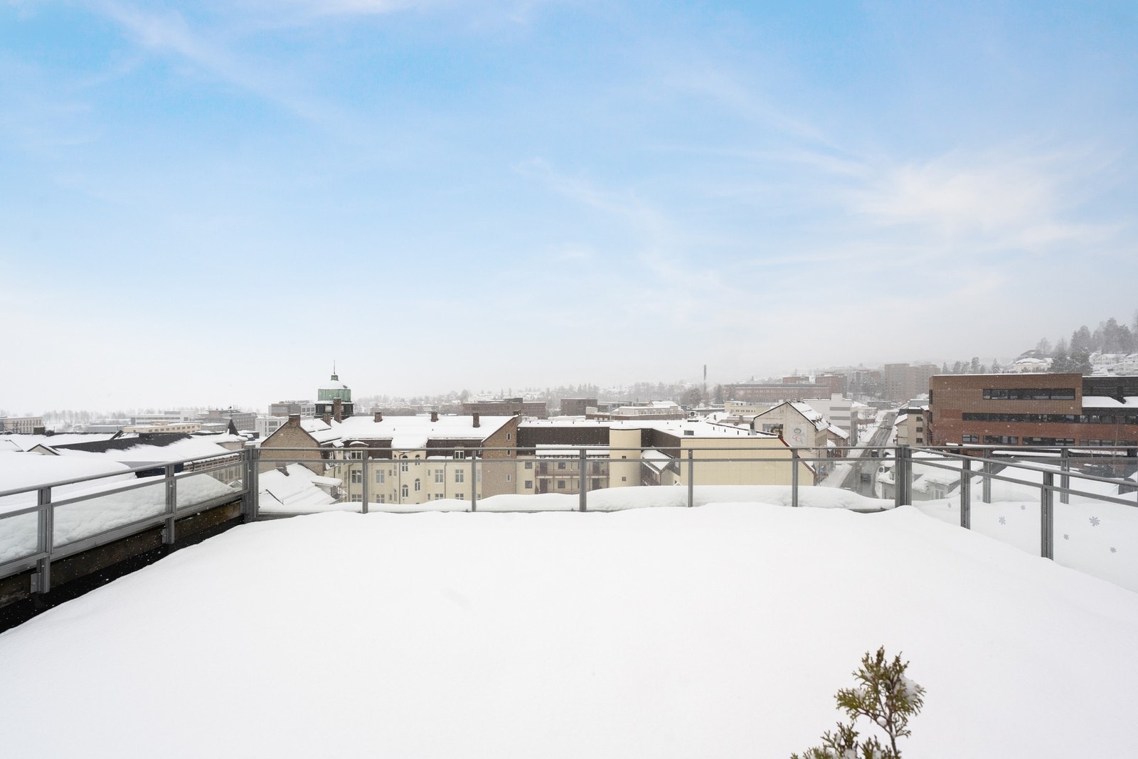 Felles takterrasse. Galleribilde