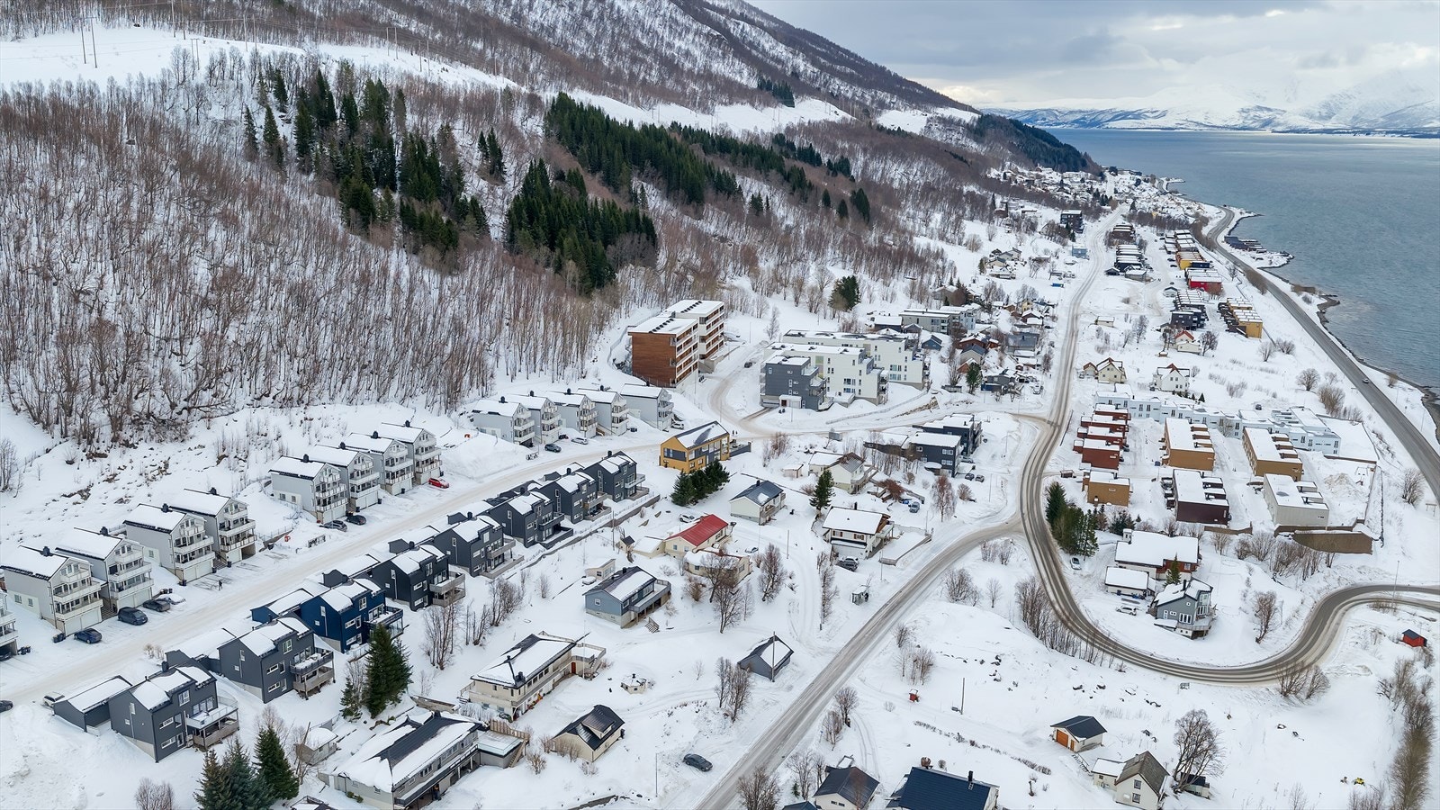 Velkommen til visning! Galleribilde