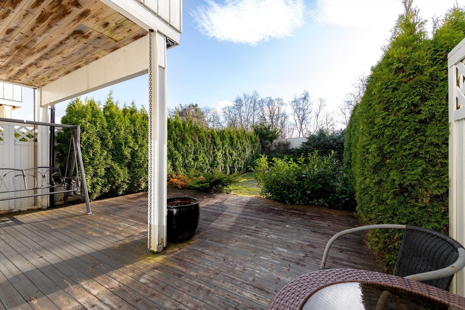 Skjermet hage med hekk mot naboer Galleribilde