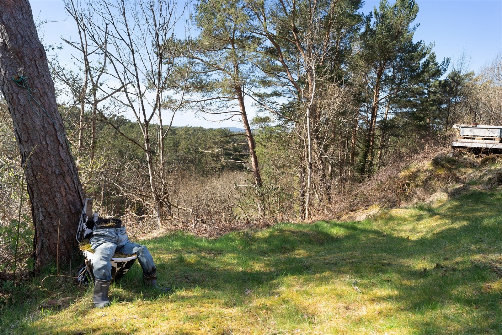 Tomten er på hele 1 277,7 m2 Galleribilde