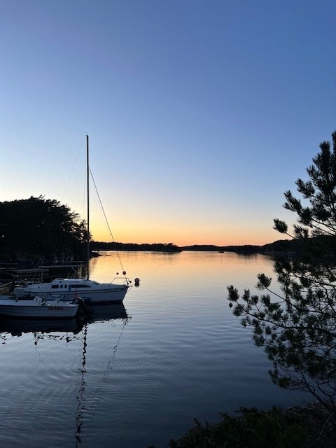 Bilde fra nærområdet Galleribilde