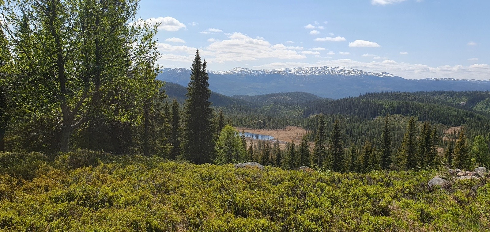 Selgers bilde av utsikt Galleribilde