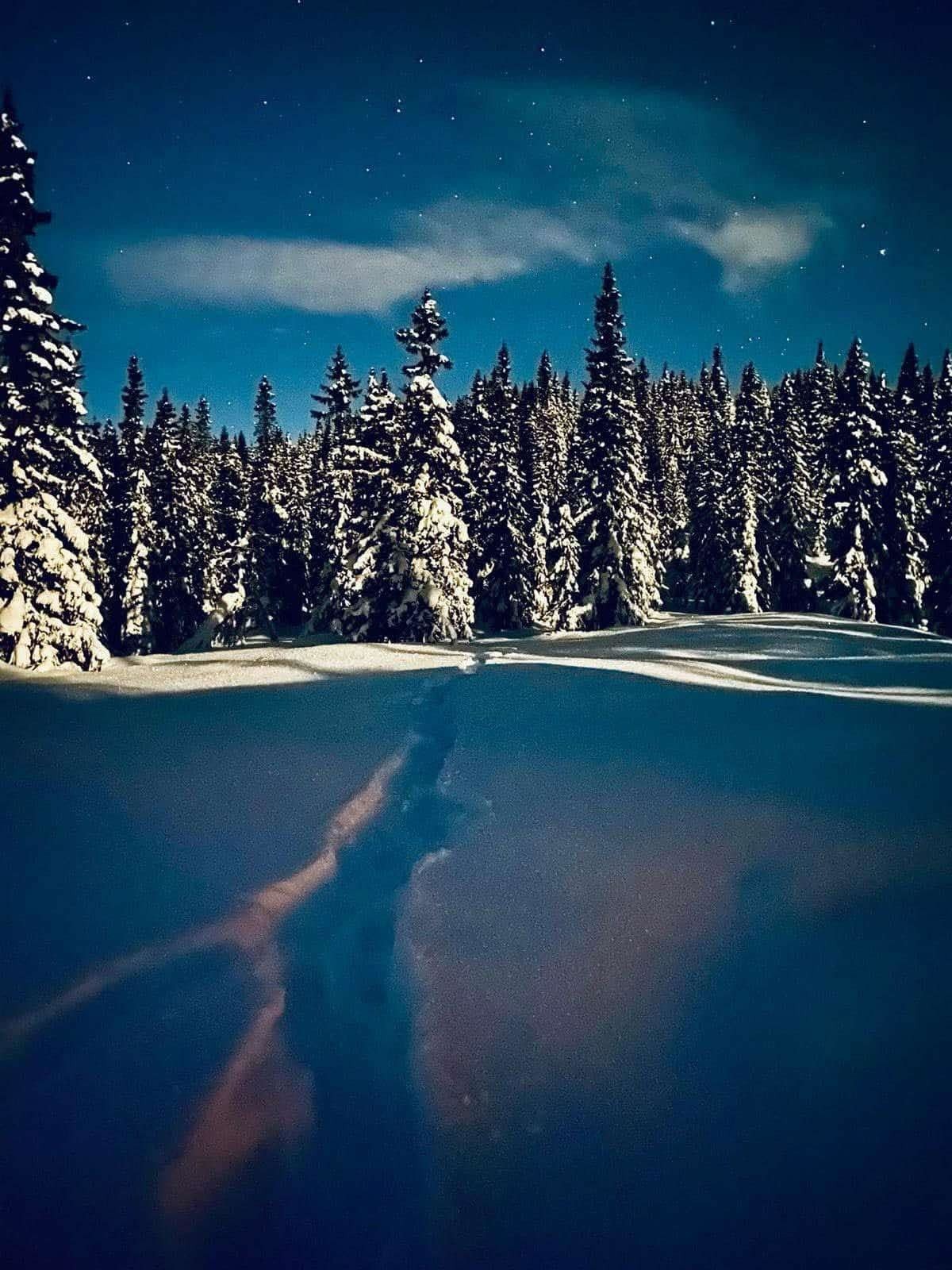 Med lite lysforurensing for du en fantastisk flott stjernehimmel. Galleribilde