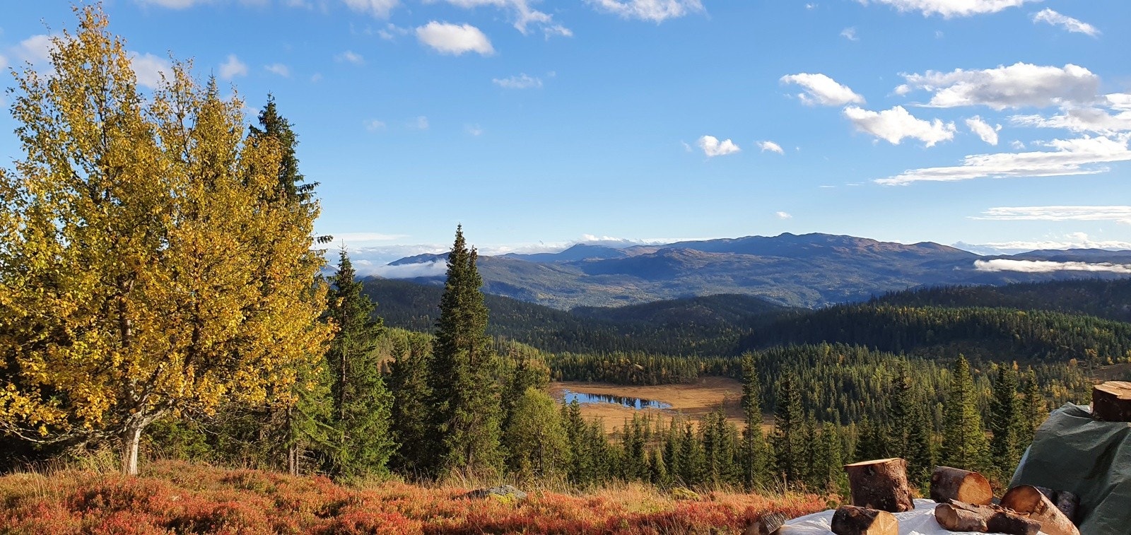 Selgers bilde av utsikten. Galleribilde