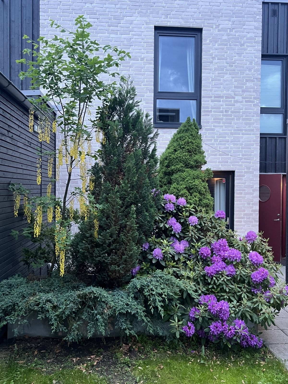 Sommerbilde vegetasjon på forside Galleribilde