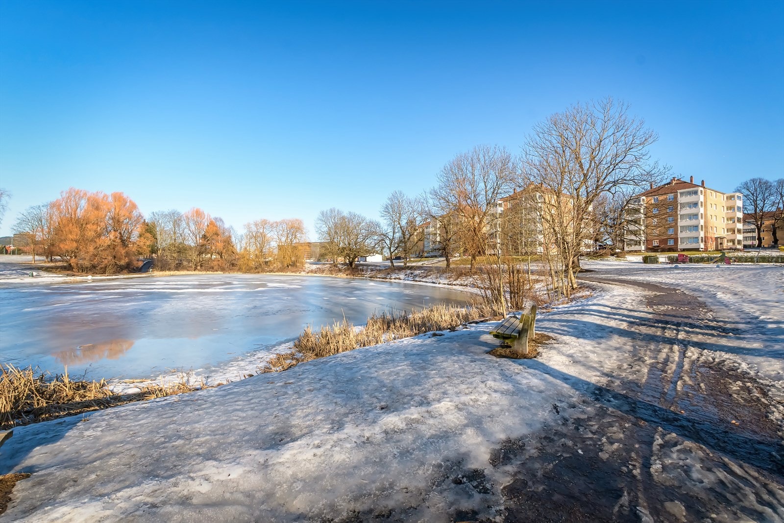 Hovindammen er et hyggelig turområde. Galleribilde
