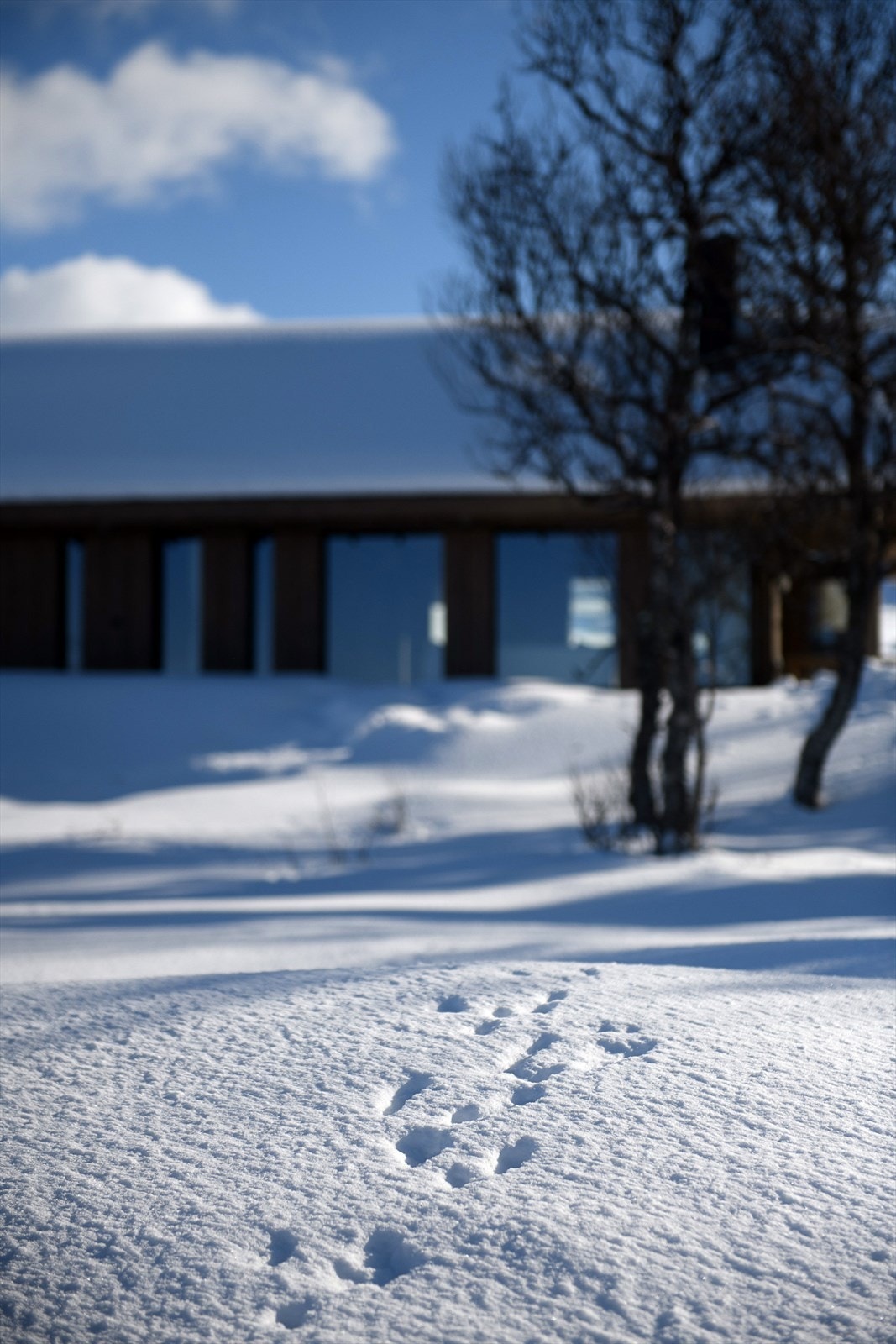 Øyerfjellet byr på 600 km med langrennsløyper i et nettverk som strekker seg langt innover fjellet. Galleribilde