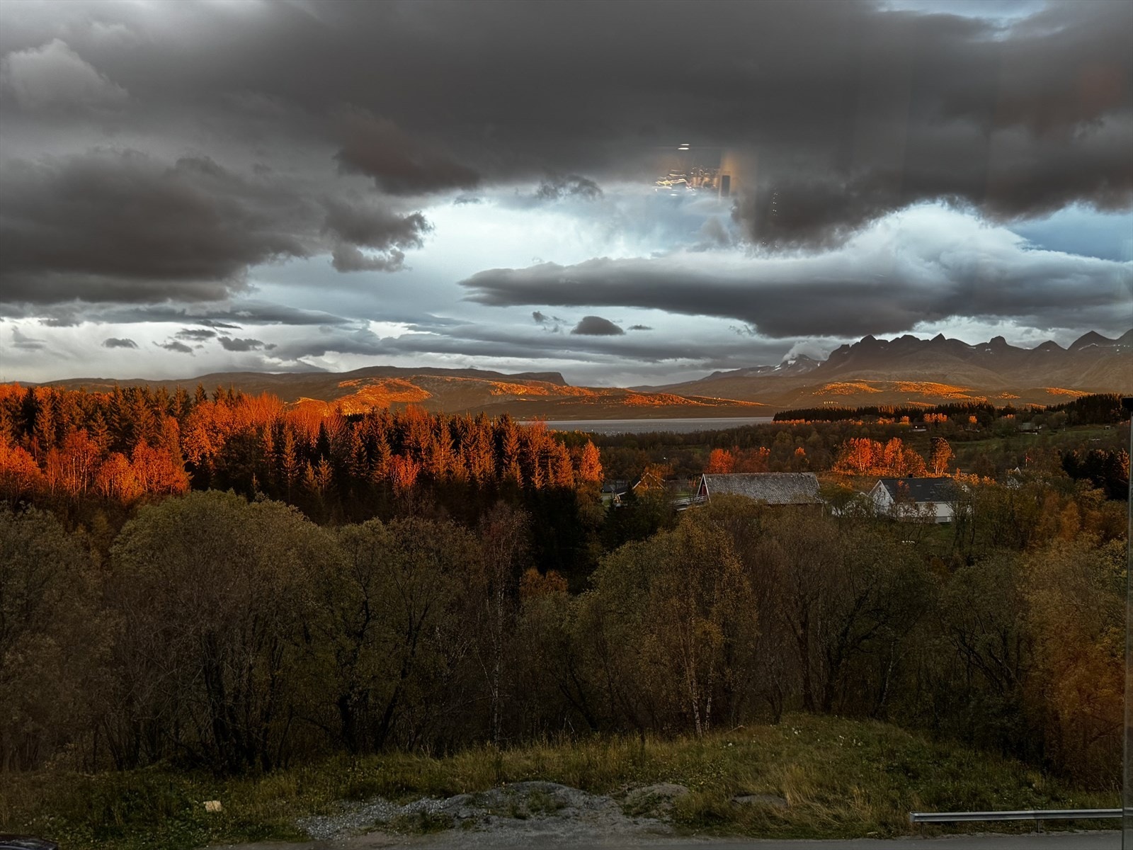 Utsiktsglimt. Galleribilde