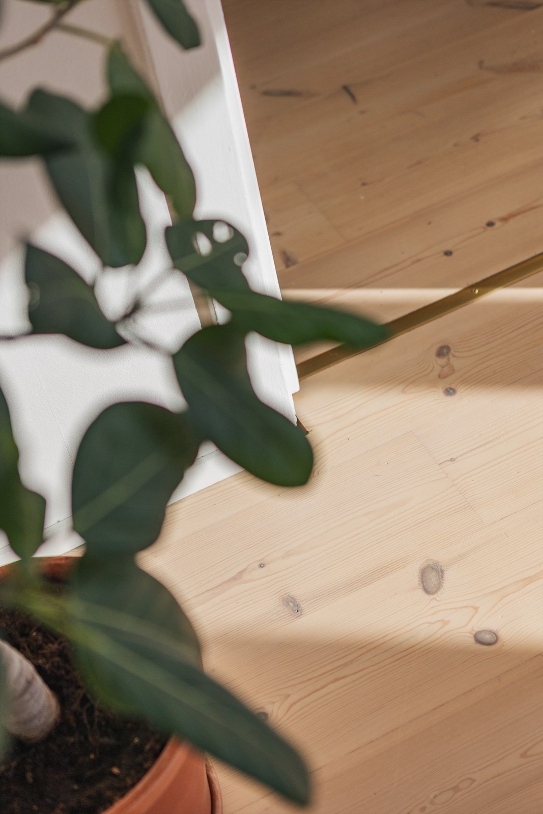 Originale tregulv bidrar til et sjarmerende preg Galleribilde