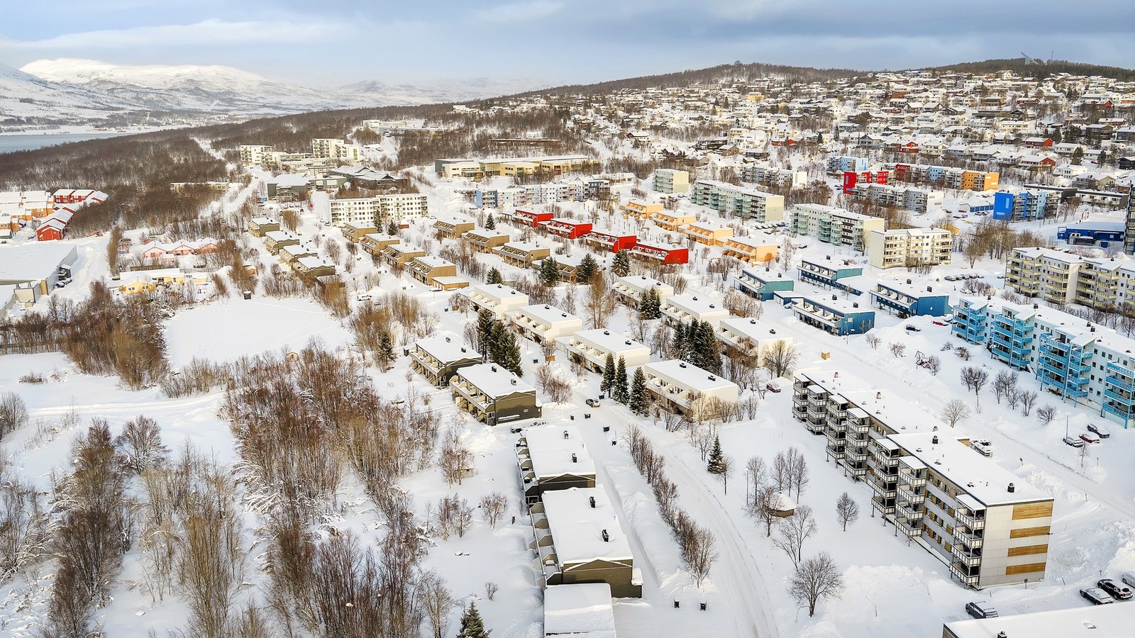 områdebilde. Galleribilde