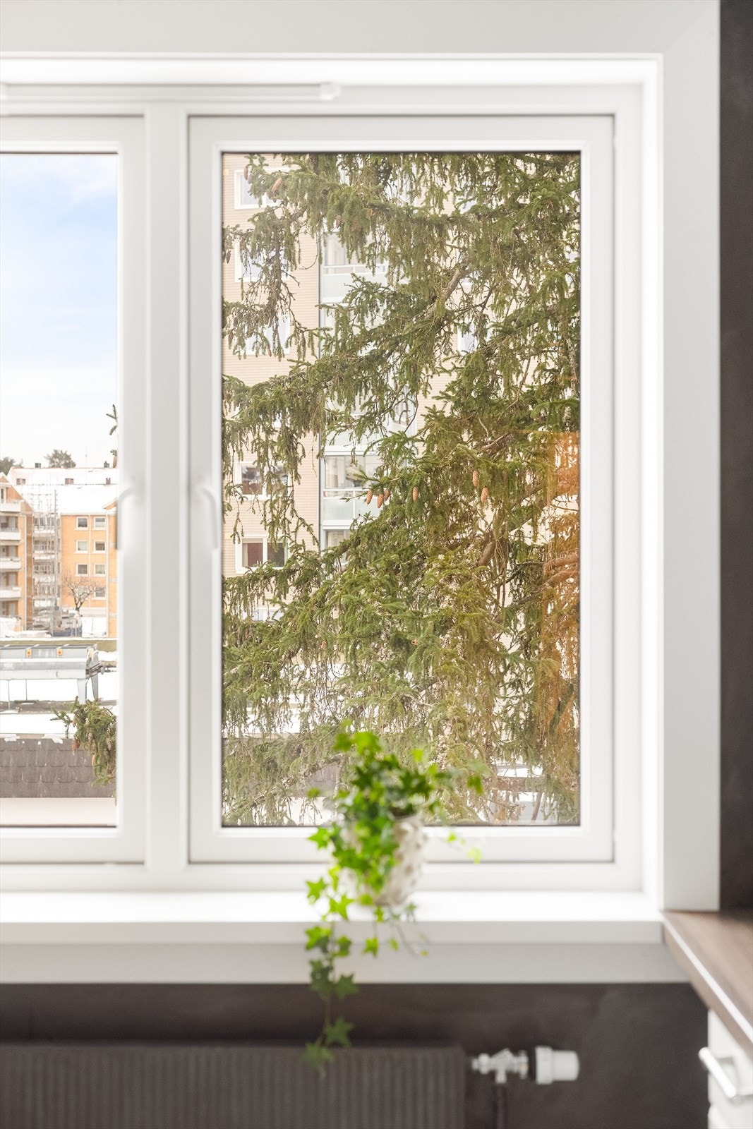 Utsyn fra kjøkken. Galleribilde