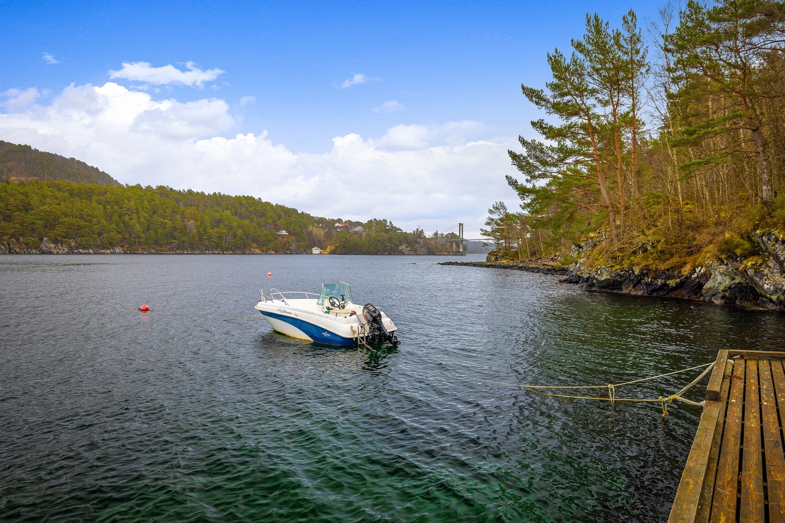 Herlig med båtplass ved sjøen. Galleribilde