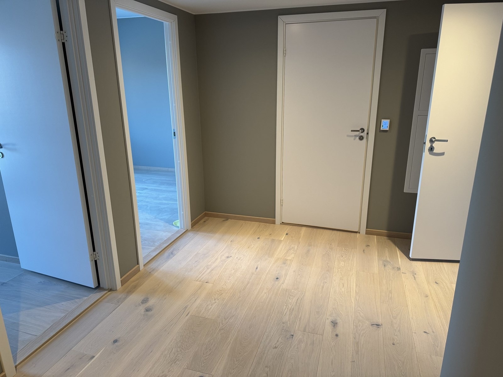 Stor gang Galleribilde