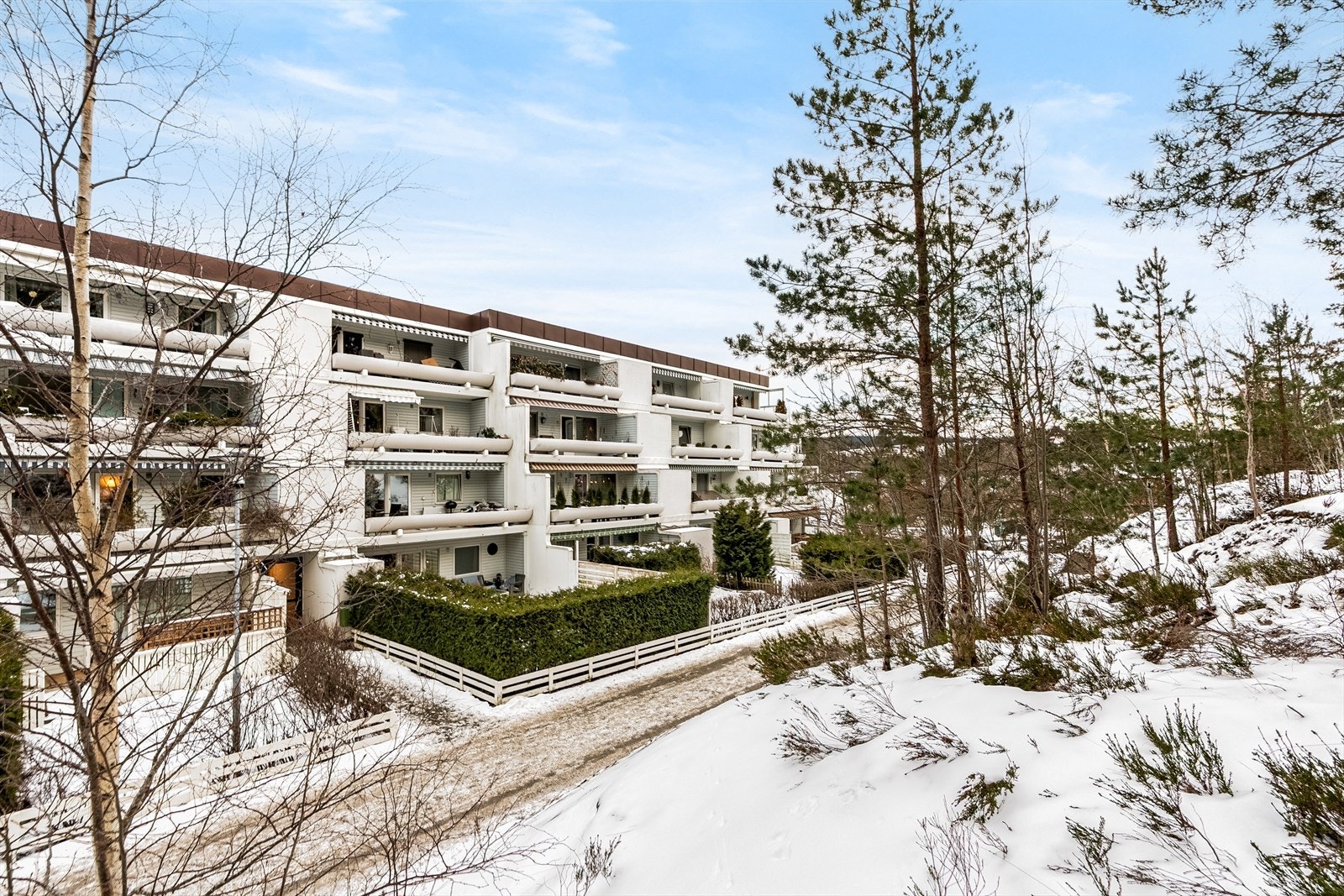 Velkommen til visning! Galleribilde