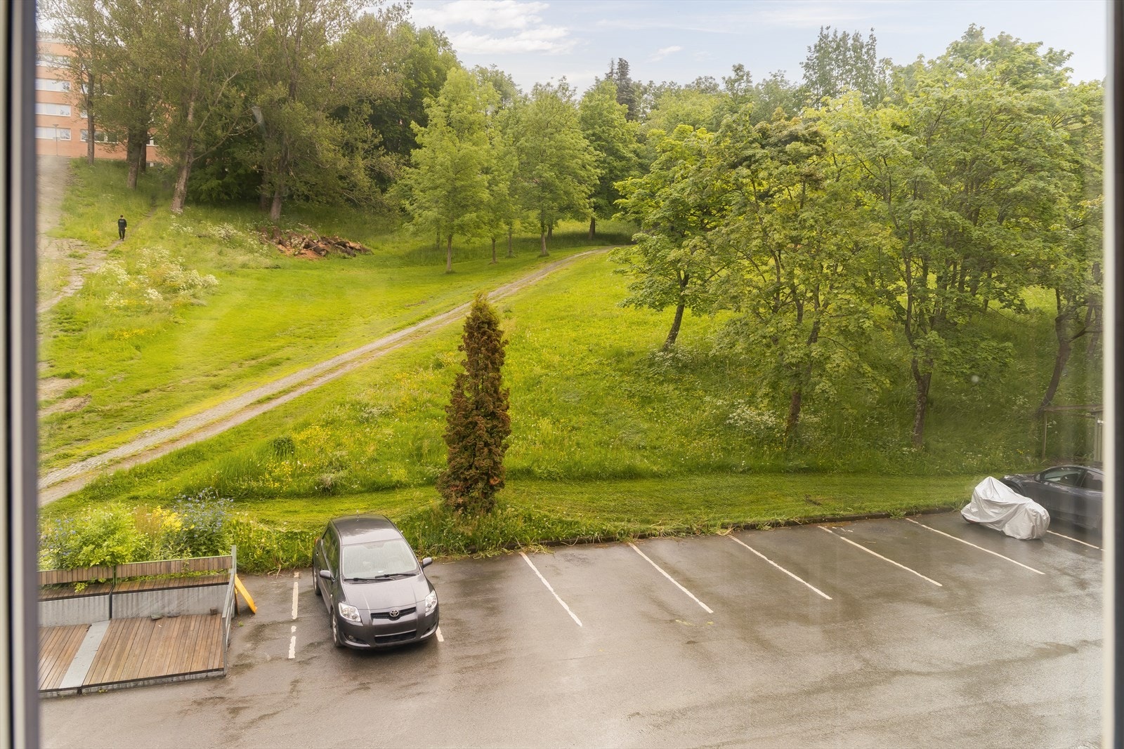 Høgskoleparken om sommeren. Galleribilde