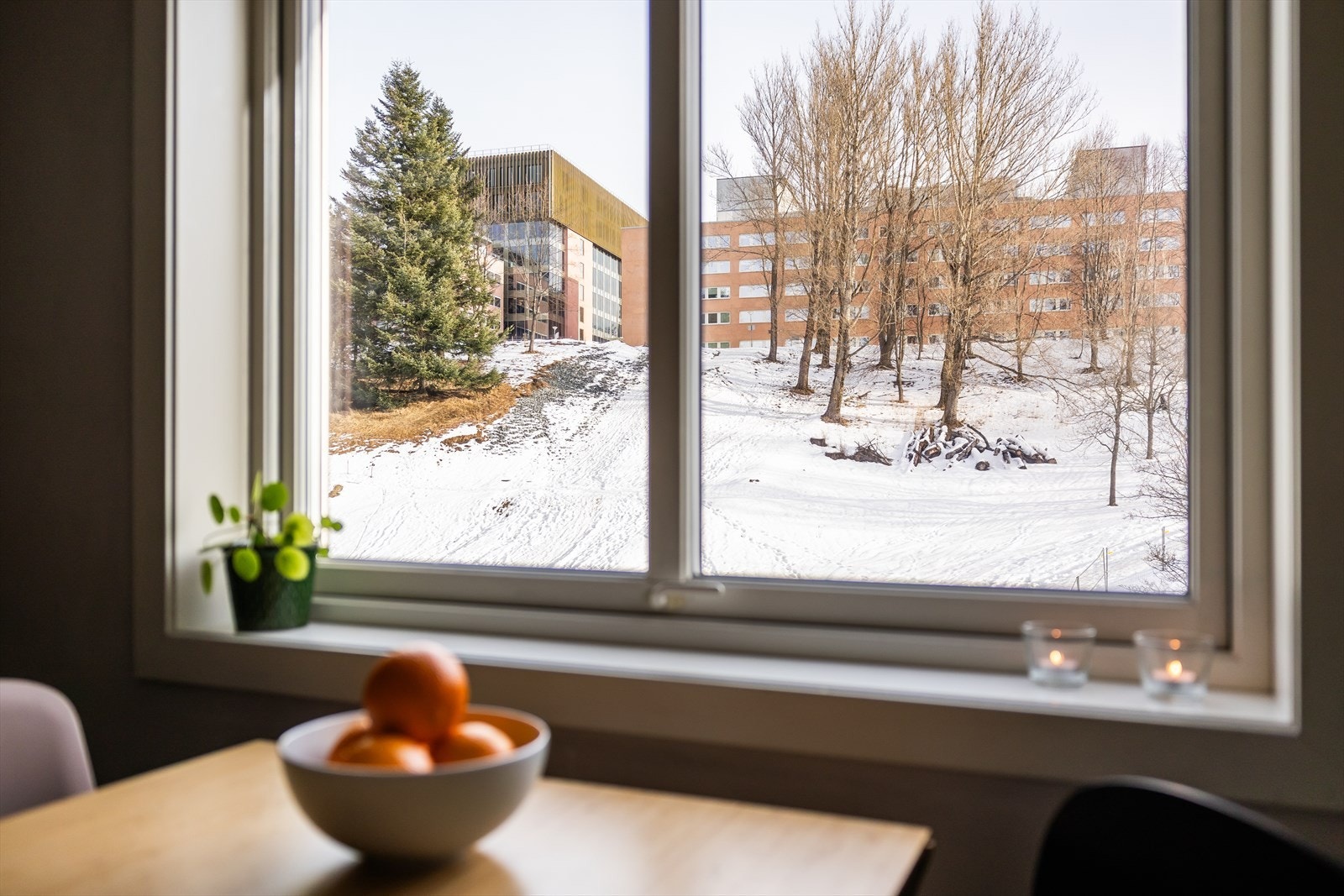 De rause vindusflatene sørger for rikelig med naturlig lysinnslipp. Galleribilde